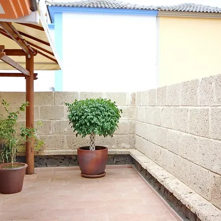 Elena Villa *